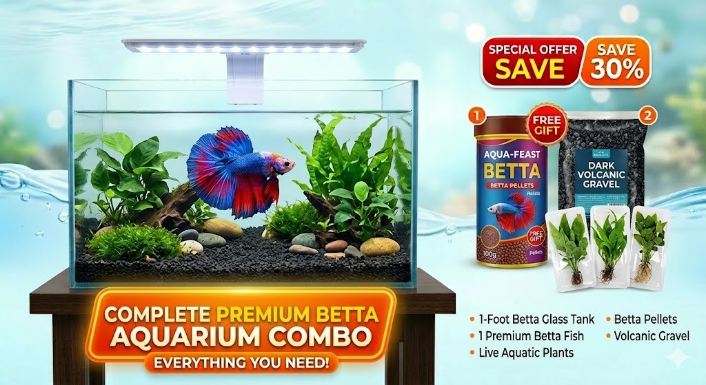 Betta Premium Combo